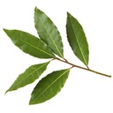 Bay Laurel (Laurel Leaf) Bio Oil